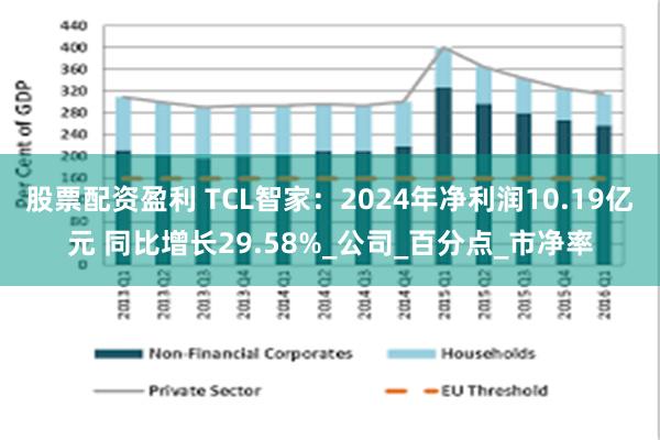 股票配资盈利 TCL智家：2024年净利润10.19亿元 同比增长29.58%_公司_百分点_市净率