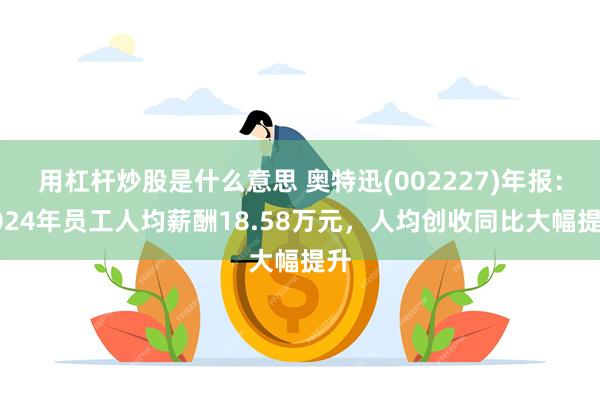 用杠杆炒股是什么意思 奥特迅(002227)年报：2024年员工人均薪酬18.58万元，人均创收同比大幅提升
