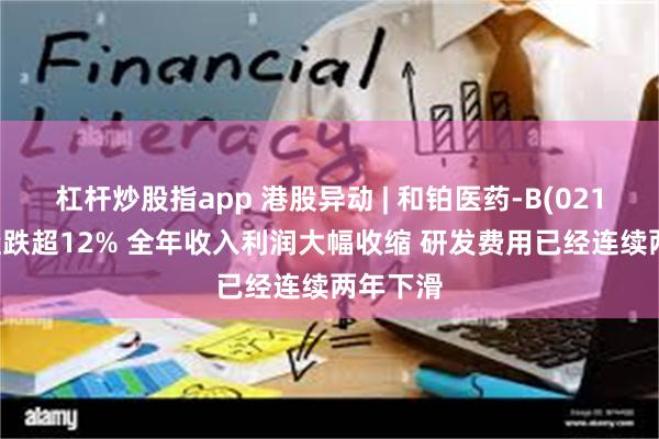 杠杆炒股指app 港股异动 | 和铂医药-B(02142)尾盘跌超12% 全年收入利润大幅收缩 研发费用已经连续两年下滑