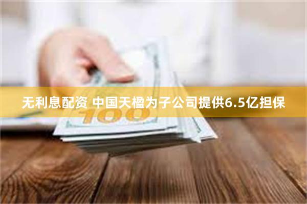 无利息配资 中国天楹为子公司提供6.5亿担保
