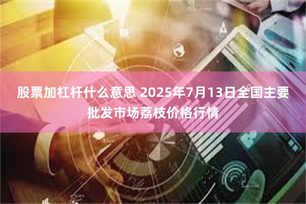 股票加杠杆什么意思 2025年7月13日全国主要批发市场荔枝价格行情