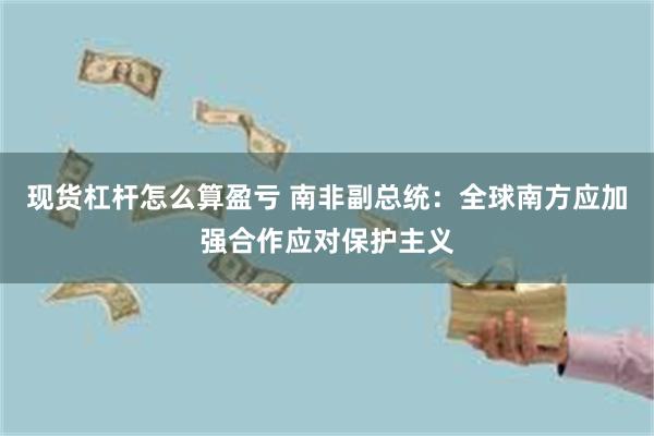 现货杠杆怎么算盈亏 南非副总统：全球南方应加强合作应对保护主义