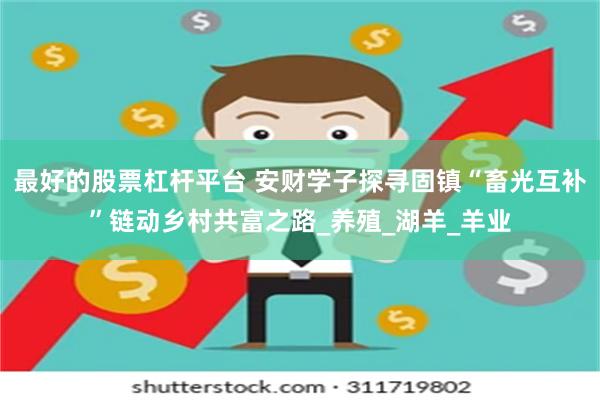 最好的股票杠杆平台 安财学子探寻固镇“畜光互补”链动乡村共富之路_养殖_湖羊_羊业