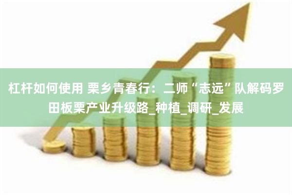 杠杆如何使用 栗乡青春行：二师“志远”队解码罗田板栗产业升级路_种植_调研_发展