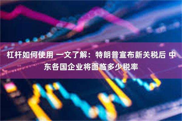杠杆如何使用 一文了解：特朗普宣布新关税后 中东各国企业将面临多少税率