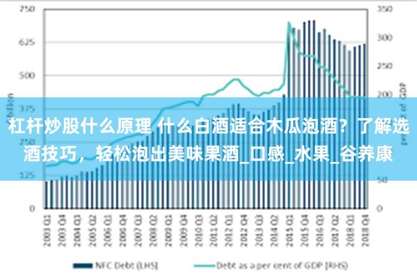 杠杆炒股什么原理 什么白酒适合木瓜泡酒？了解选酒技巧，轻松泡出美味果酒_口感_水果_谷养康