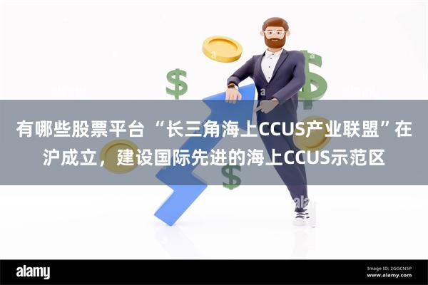 有哪些股票平台 “长三角海上CCUS产业联盟”在沪成立，建设国际先进的海上CCUS示范区