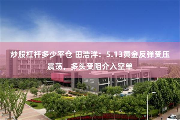 炒股杠杆多少平仓 田浩洋：5.13黄金反弹受压震荡，多头受阻介入空单