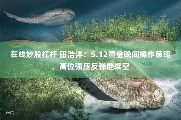 在线炒股杠杆 田浩洋:5.12黄金晚间操作策略,高位强压反弹继续空