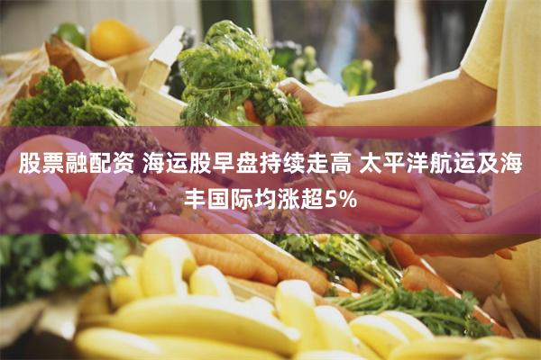 股票融配资 海运股早盘持续走高 太平洋航运及海丰国际均涨超5%