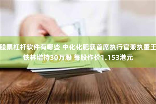 股票杠杆软件有哪些 中化化肥获首席执行官兼执董王铁林增持30万股 每股作价1.153港元