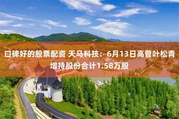 口碑好的股票配资 天马科技：6月13日高管叶松青增持股份合计1.58万股