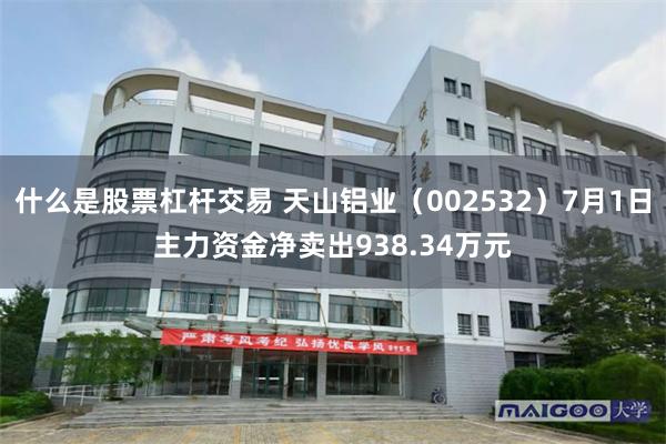 什么是股票杠杆交易 天山铝业（002532）7月1日主力资金净卖出938.34万元