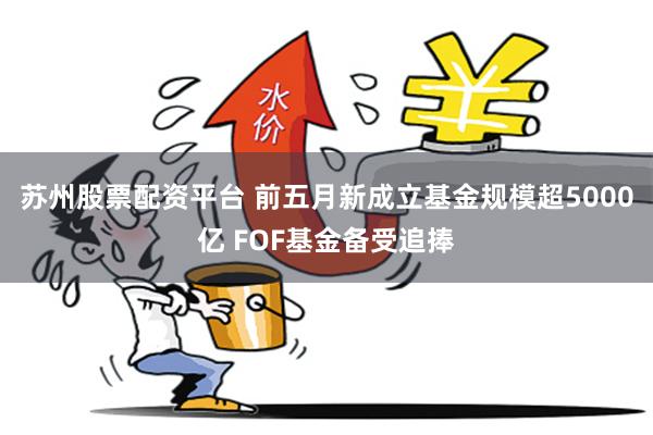苏州股票配资平台 前五月新成立基金规模超5000亿 FOF基金备受追捧