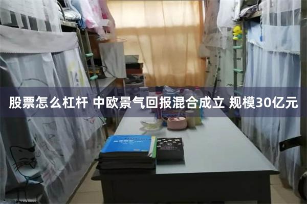 股票怎么杠杆 中欧景气回报混合成立 规模30亿元