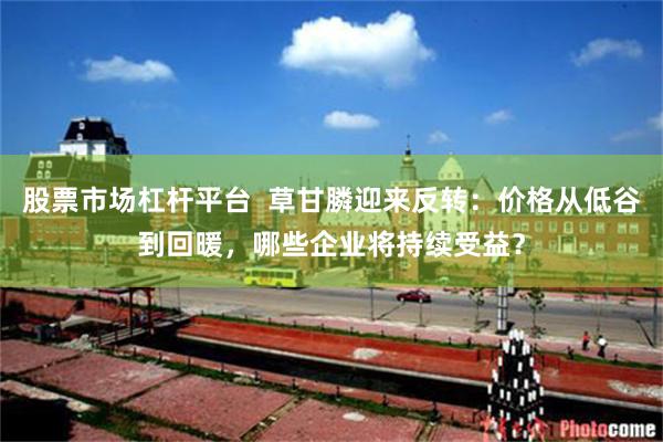 股票市场杠杆平台  草甘膦迎来反转：价格从低谷到回暖，哪些企业将持续受益？