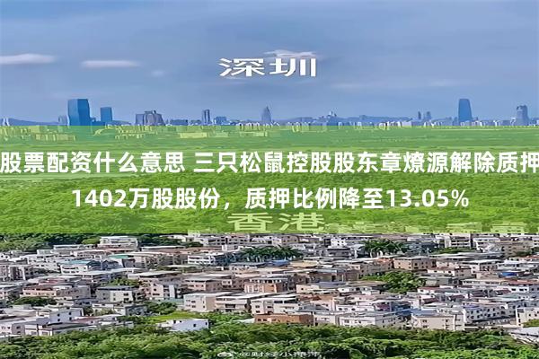股票配资什么意思 三只松鼠控股股东章燎源解除质押1402万股股份，质押比例降至13.05%