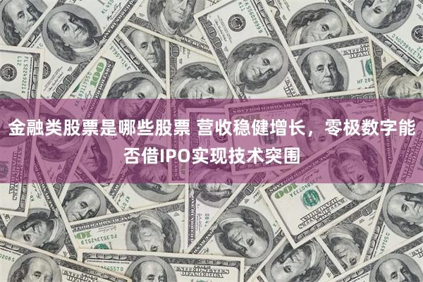 金融类股票是哪些股票 营收稳健增长，零极数字能否借IPO实现技术突围
