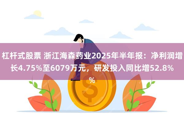 杠杆式股票 浙江海森药业2025年半年报：净利润增长4.75%至6079万元，研发投入同比增52.8%