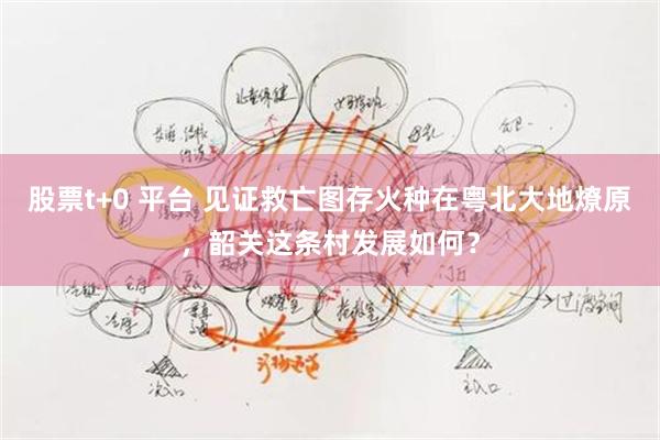 股票t+0 平台 见证救亡图存火种在粤北大地燎原，韶关这条村发展如何？