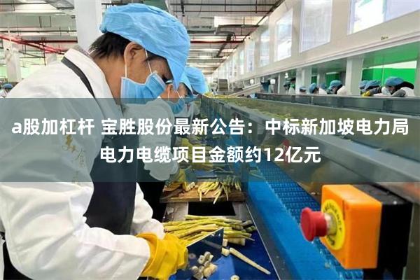 a股加杠杆 宝胜股份最新公告：中标新加坡电力局电力电缆项目金额约12亿元