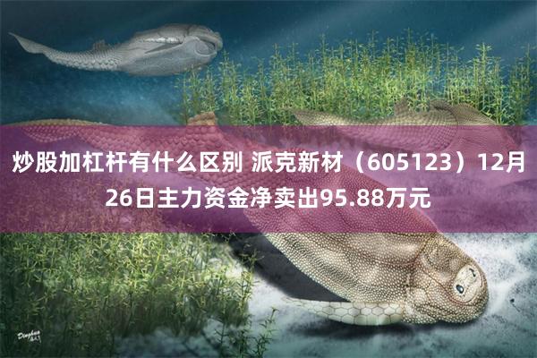 炒股加杠杆有什么区别 派克新材（605123）12月26日主力资金净卖出95.88万元