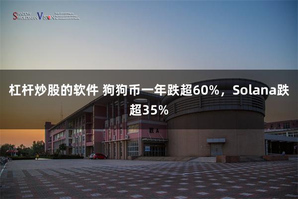 杠杆炒股的软件 狗狗币一年跌超60%，Solana跌超35%