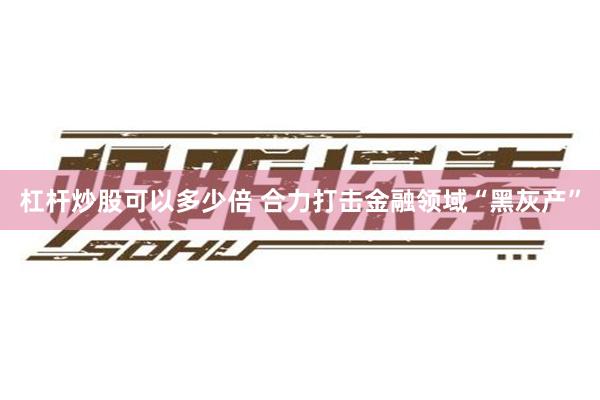 杠杆炒股可以多少倍 合力打击金融领域“黑灰产”