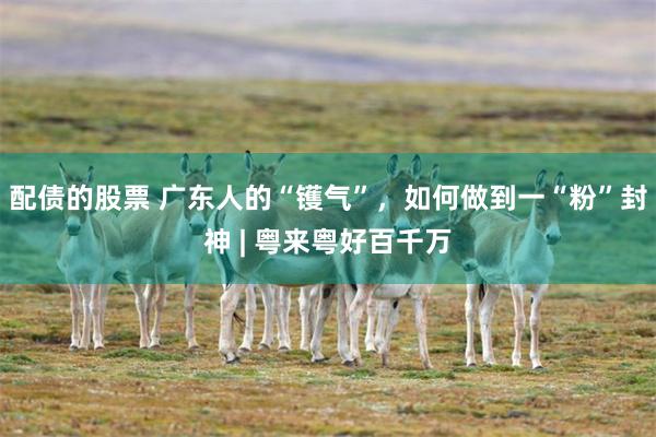 配债的股票 广东人的“镬气”，如何做到一“粉”封神 | 粤来粤好百千万