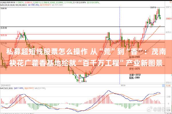 私募超短线股票怎么操作 从“荒”到“香”：茂南袂花广藿香基地绘就“百千万工程”产业新图景