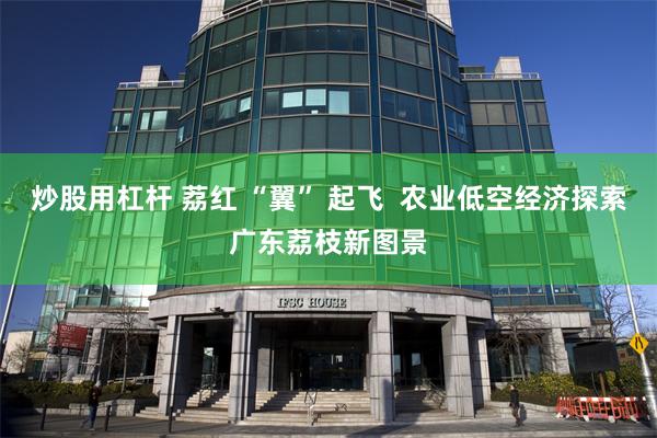 炒股用杠杆 荔红 “翼” 起飞  农业低空经济探索广东荔枝新图景