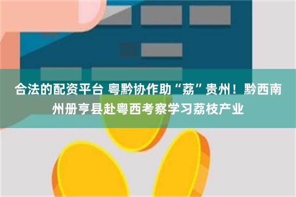 合法的配资平台 粤黔协作助“荔”贵州！黔西南州册亨县赴粤西考察学习荔枝产业