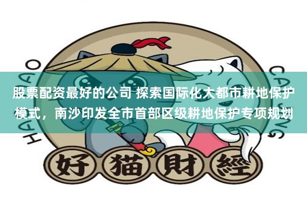 股票配资最好的公司 探索国际化大都市耕地保护模式,南沙印发全市首部区级耕地保护专项规划