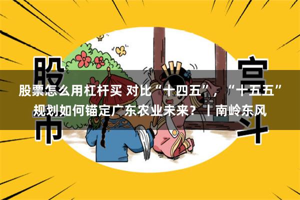 股票怎么用杠杆买 对比“十四五”，“十五五”规划如何锚定广东农业未来？丨南岭东风
