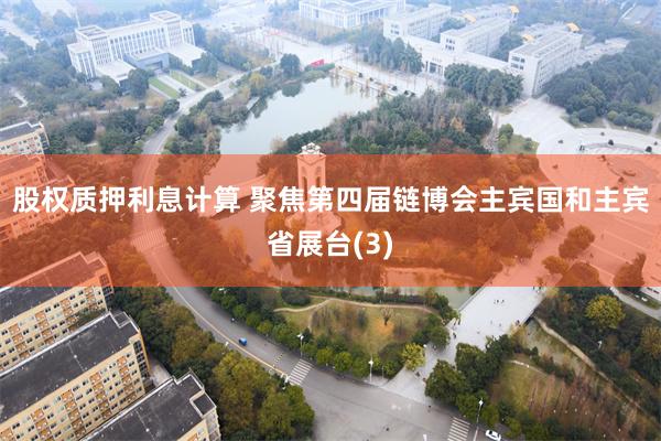 股权质押利息计算 聚焦第四届链博会主宾国和主宾省展台(3)