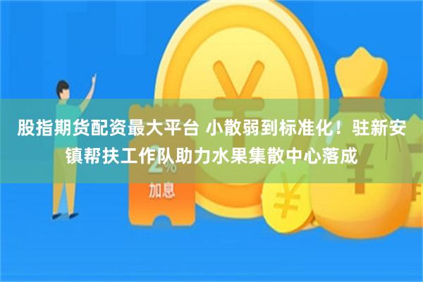 股指期货配资最大平台 小散弱到标准化!驻新安镇帮扶工作队助力水果集散中心落成