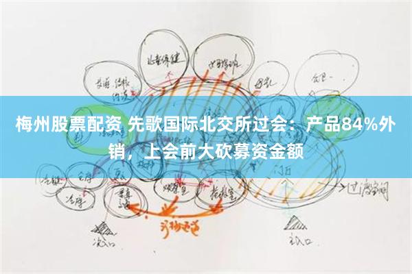 梅州股票配资 先歌国际北交所过会:产品84%外销,上会前大砍募资金额