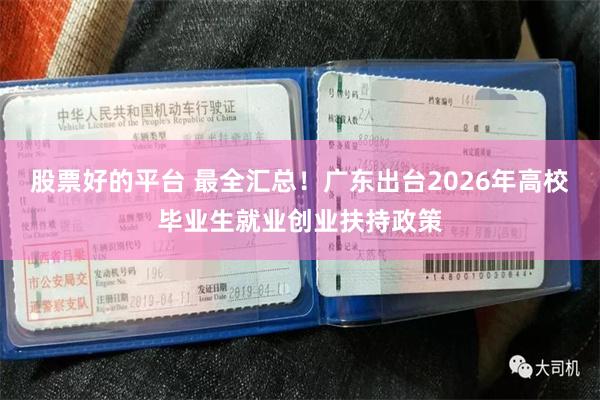 股票好的平台 最全汇总！广东出台2026年高校毕业生就业创业扶持政策