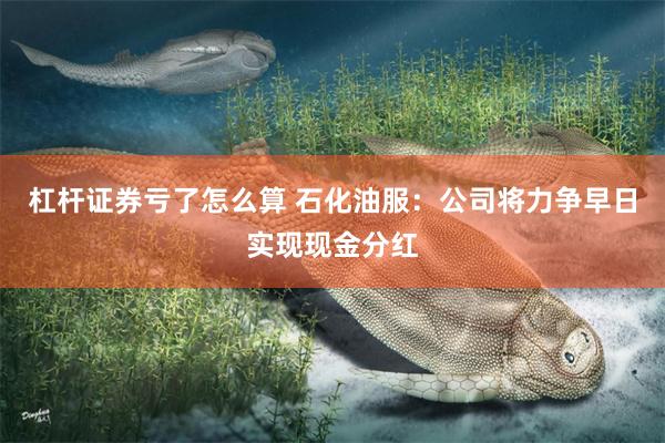 杠杆证券亏了怎么算 石化油服：公司将力争早日实现现金分红