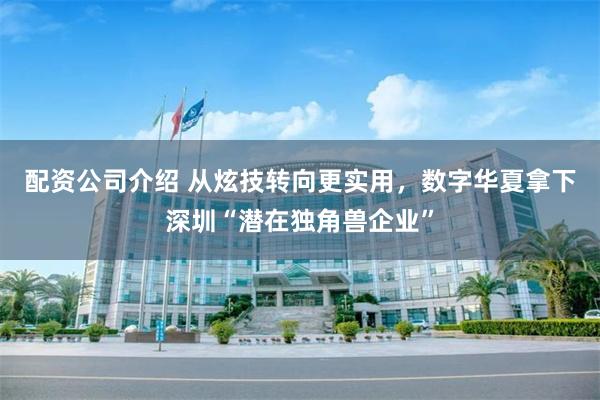配资公司介绍 从炫技转向更实用，数字华夏拿下深圳“潜在独角兽企业”