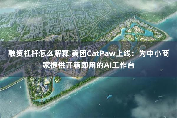 融资杠杆怎么解释 美团CatPaw上线：为中小商家提供开箱即用的AI工作台