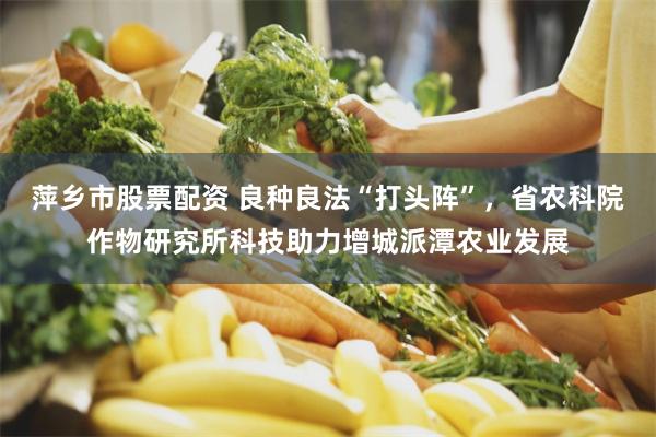 萍乡市股票配资 良种良法“打头阵”，省农科院作物研究所科技助力增城派潭农业发展
