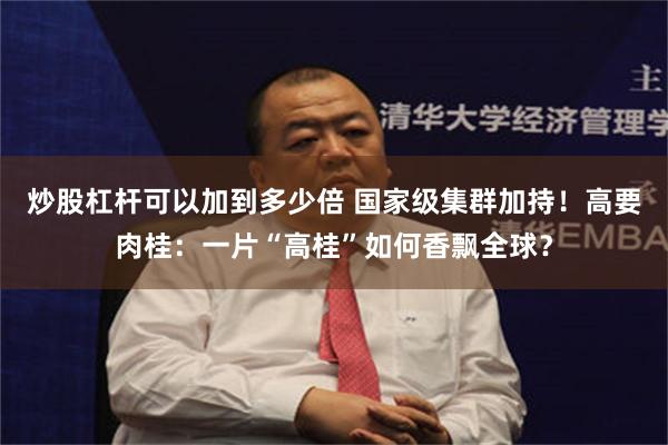 炒股杠杆可以加到多少倍 国家级集群加持！高要肉桂：一片“高桂”如何香飘全球？