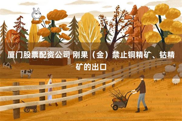 厦门股票配资公司 刚果（金）禁止铜精矿、钴精矿的出口