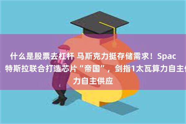 什么是股票去杠杆 马斯克力挺存储需求！SpaceX、特斯拉联合打造芯片“帝国”，剑指1太瓦算力自主供应