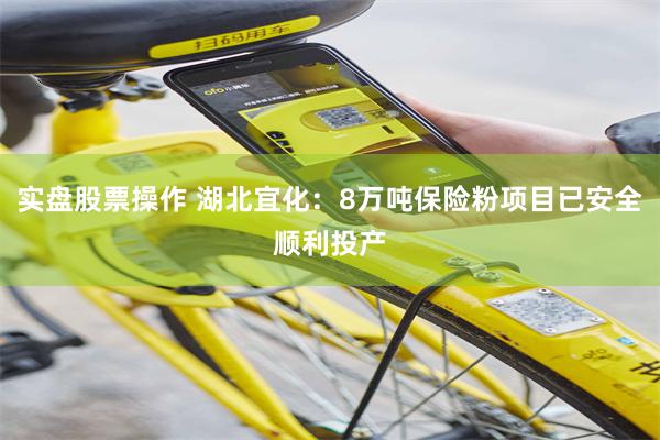 实盘股票操作 湖北宜化：8万吨保险粉项目已安全顺利投产