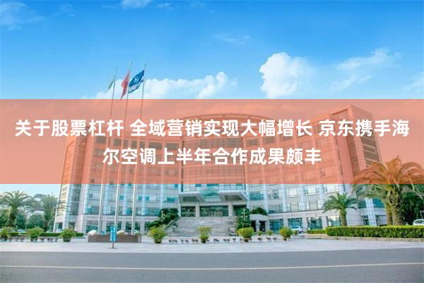 关于股票杠杆 全域营销实现大幅增长 京东携手海尔空调上半年合作成果颇丰