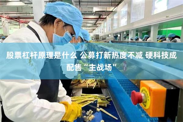 股票杠杆原理是什么 公募打新热度不减 硬科技成配售“主战场”