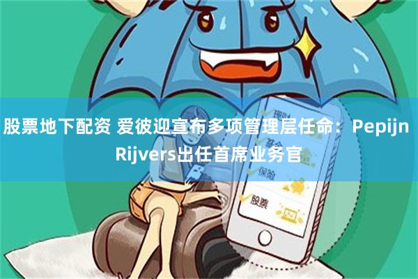 股票地下配资 爱彼迎宣布多项管理层任命：Pepijn Rijvers出任首席业务官