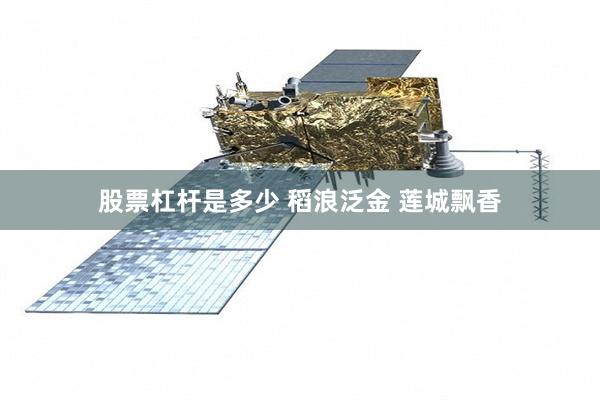 股票杠杆是多少 稻浪泛金 莲城飘香